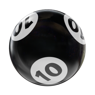 BINGO HOUSEBALL BLACK/WHITE 10 LBS