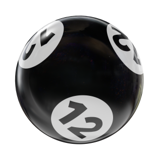 BINGO HOUSEBALL BLACK/WHITE 12 LBS
