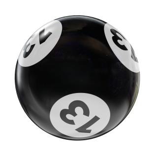 BINGO HOUSEBALL BLACK/WHITE 13 LBS