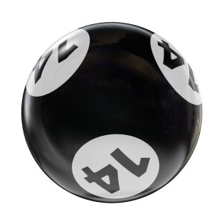 BINGO HOUSEBALL BLACK/WHITE 14 LBS