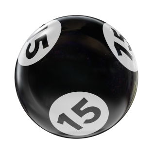 BINGO HOUSEBALL BLACK/WHITE 15 LBS